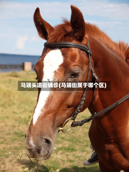 马端头道街确诊(马端街属于哪个区)-第3张图片