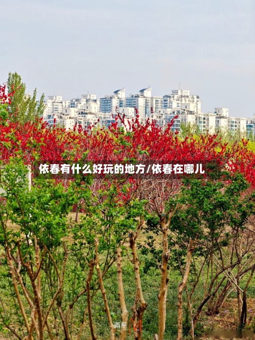 依春有什么好玩的地方/依春在哪儿-第2张图片