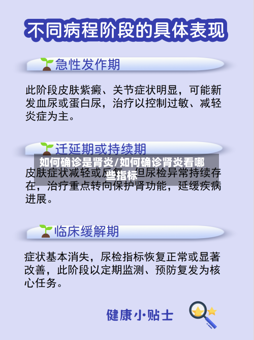 如何确诊是肾炎/如何确诊肾炎看哪些指标-第3张图片