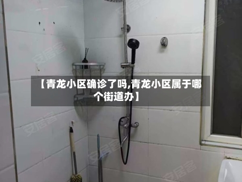 【青龙小区确诊了吗,青龙小区属于哪个街道办】