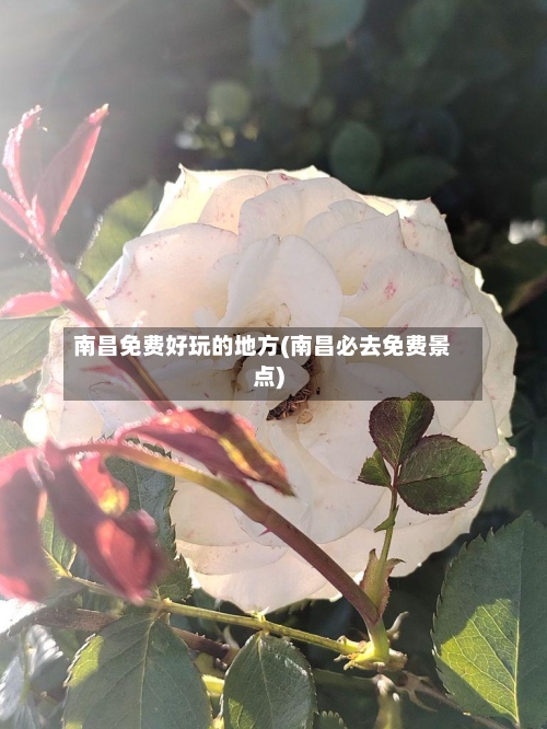 南昌免费好玩的地方(南昌必去免费景点)-第2张图片