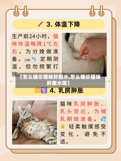 【怎么确诊猫咪肝腹水,怎么确诊猫咪肝腹水呢】-第2张图片