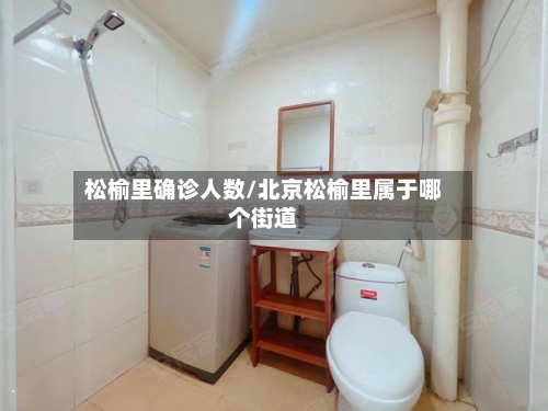 松榆里确诊人数/北京松榆里属于哪个街道