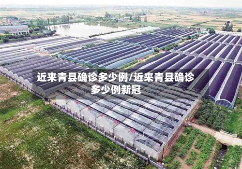 近来青县确诊多少例/近来青县确诊多少例新冠-第2张图片