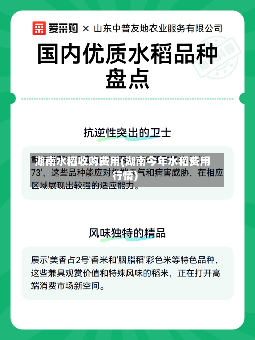 湖南水稻收购费用(湖南今年水稻费用行情)