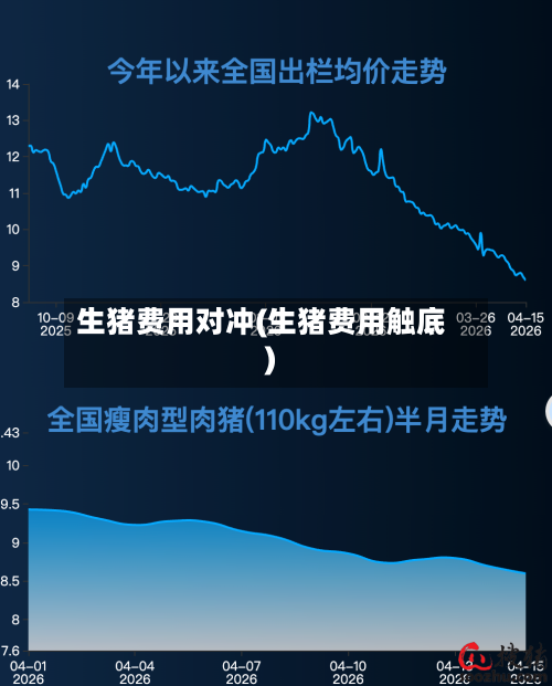 生猪费用对冲(生猪费用触底)-第2张图片