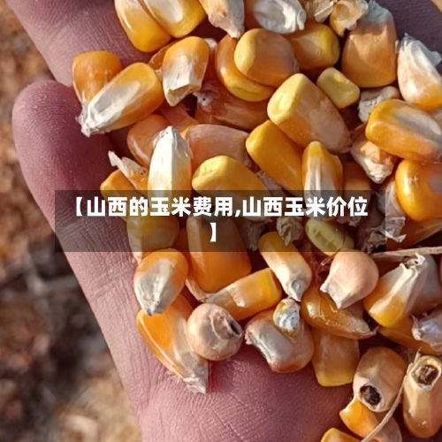 【山西的玉米费用,山西玉米价位】