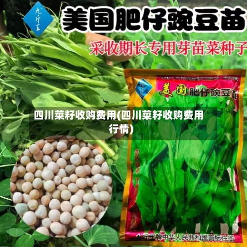 四川菜籽收购费用(四川菜籽收购费用行情)-第2张图片