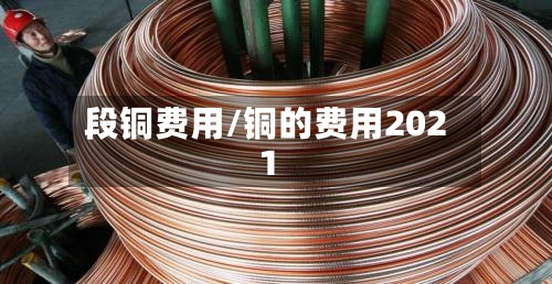 段铜费用/铜的费用2021-第2张图片