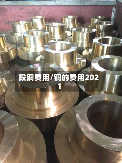 段铜费用/铜的费用2021