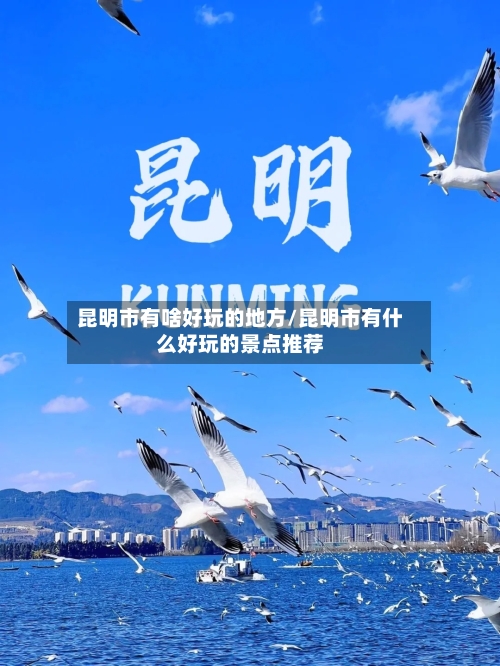 昆明市有啥好玩的地方/昆明市有什么好玩的景点推荐-第2张图片