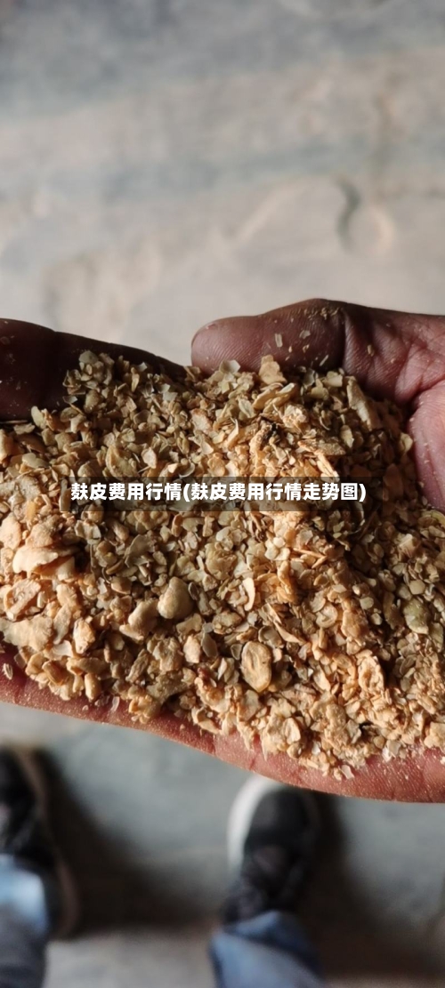 麸皮费用行情(麸皮费用行情走势图)