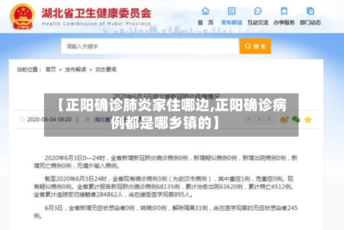 【正阳确诊肺炎家住哪边,正阳确诊病例都是哪乡镇的】