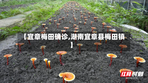 【宜章梅田确诊,湖南宜章县梅田镇】-第2张图片