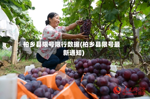 柏乡县限号限行数据(柏乡县限号最新通知)