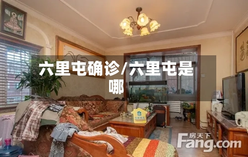 六里屯确诊/六里屯是哪-第3张图片