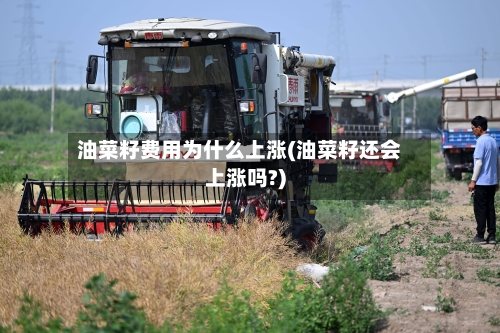 油菜籽费用为什么上涨(油菜籽还会上涨吗?)