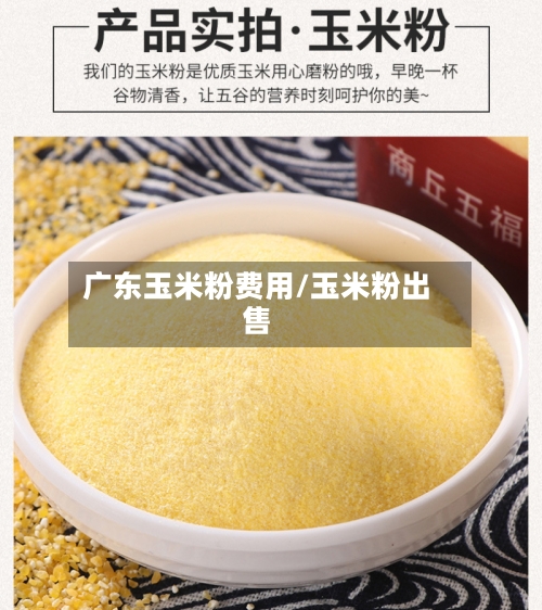 广东玉米粉费用/玉米粉出售-第3张图片