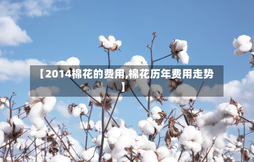 【2014棉花的费用,棉花历年费用走势】