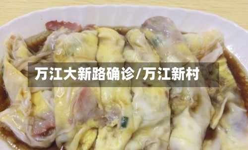 万江大新路确诊/万江新村-第2张图片