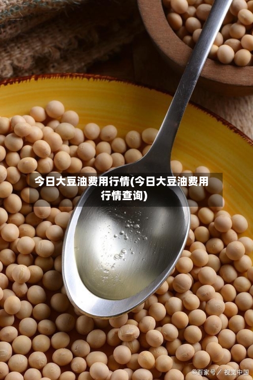 今日大豆油费用行情(今日大豆油费用行情查询)-第2张图片