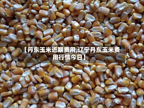 【丹东玉米近期费用,辽宁丹东玉米费用行情今日】