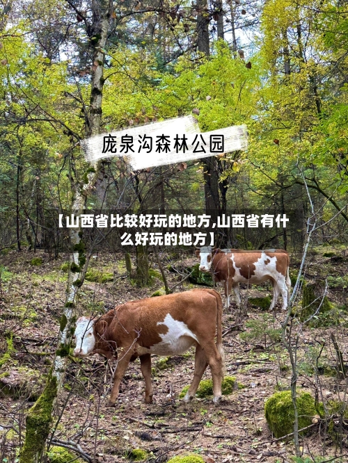 【山西省比较好玩的地方,山西省有什么好玩的地方】