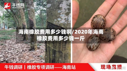 海南橡胶费用多少钱啊/2020年海南橡胶费用多少钱一斤-第2张图片