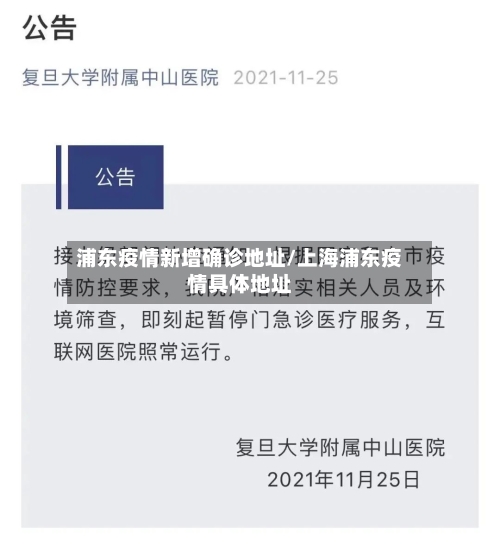 浦东疫情新增确诊地址/上海浦东疫情具体地址-第2张图片