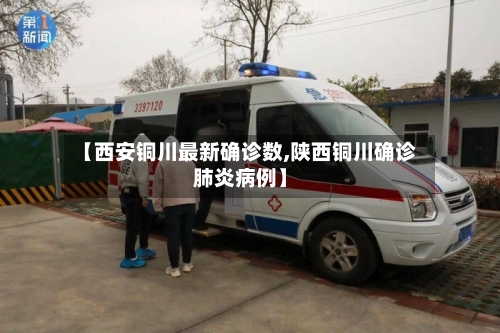 【西安铜川最新确诊数,陕西铜川确诊肺炎病例】-第2张图片