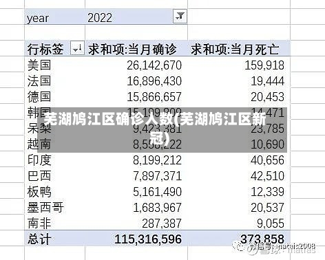 芜湖鸠江区确诊人数(芜湖鸠江区新冠)
