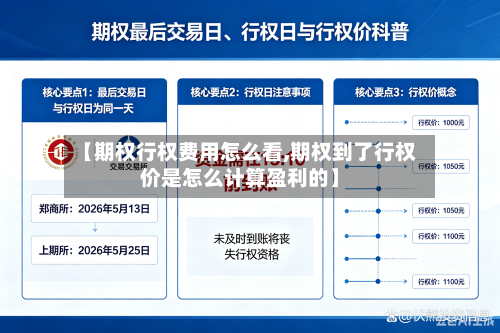 【期权行权费用怎么看,期权到了行权价是怎么计算盈利的】