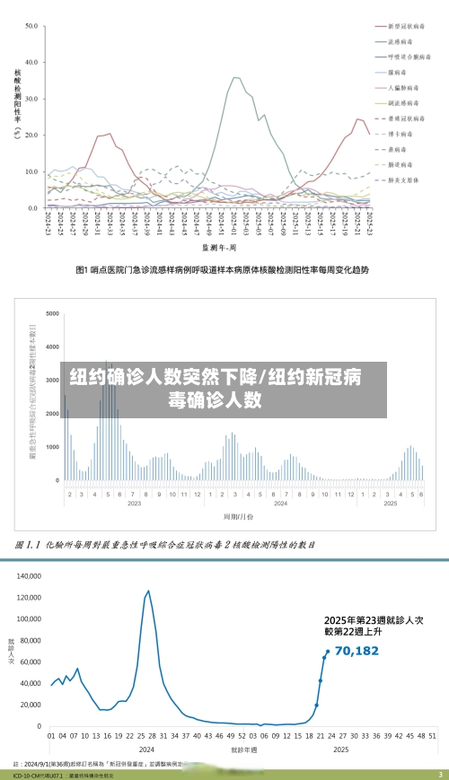 纽约确诊人数突然下降/纽约新冠病毒确诊人数-第2张图片