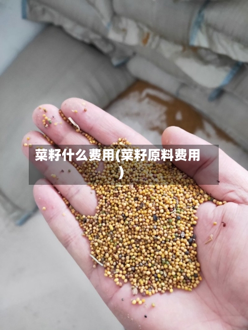 菜籽什么费用(菜籽原料费用)