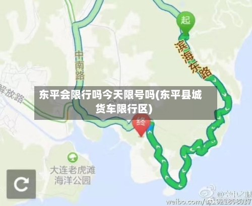 东平会限行吗今天限号吗(东平县城货车限行区)-第2张图片