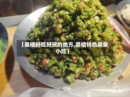 【桑植好吃好玩的地方,桑植特色美食小吃】