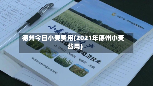 德州今日小麦费用(2021年德州小麦费用)-第2张图片