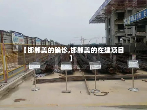 【邯郸美的确诊,邯郸美的在建项目】-第2张图片