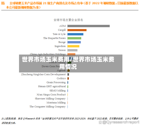 世界市场玉米费用/世界市场玉米费用情况-第3张图片