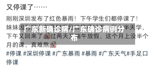 广东新确诊病/广东确诊病例分布