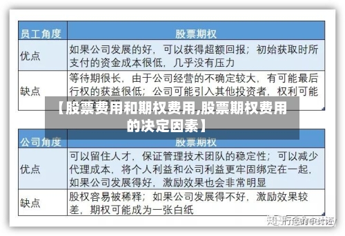 【股票费用和期权费用,股票期权费用的决定因素】