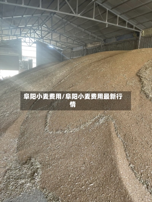 阜阳小麦费用/阜阳小麦费用最新行情