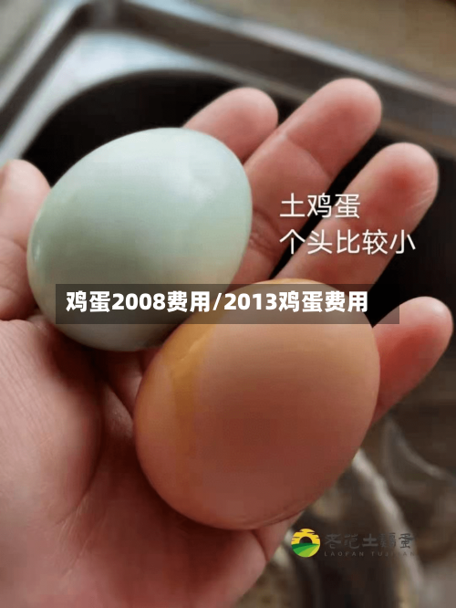 鸡蛋2008费用/2013鸡蛋费用