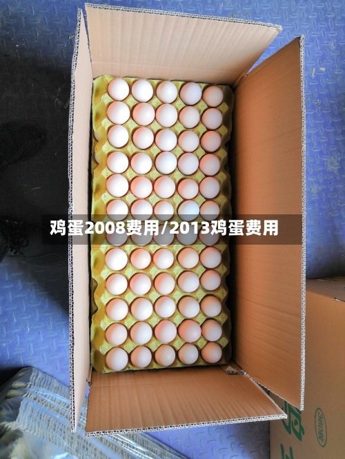 鸡蛋2008费用/2013鸡蛋费用-第2张图片