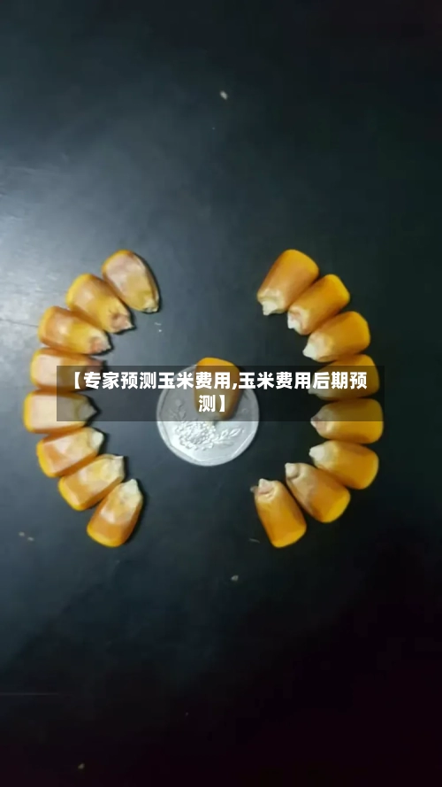 【专家预测玉米费用,玉米费用后期预测】-第2张图片