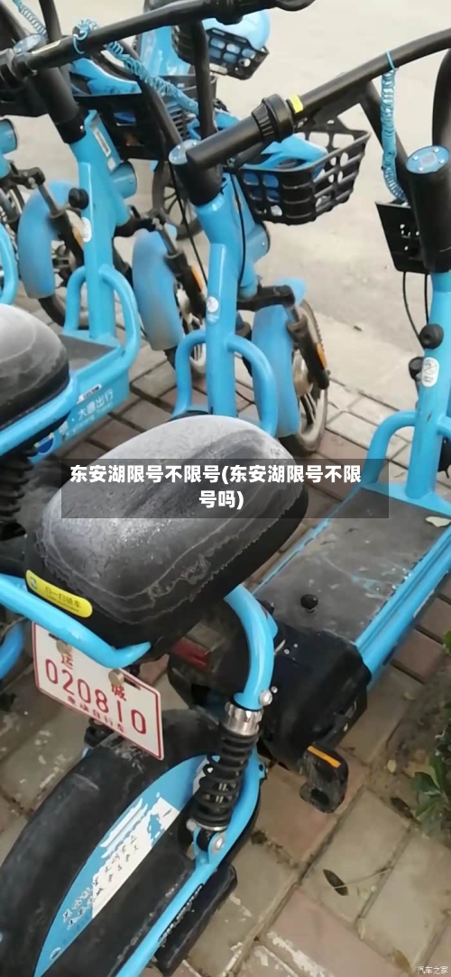 东安湖限号不限号(东安湖限号不限号吗)-第2张图片