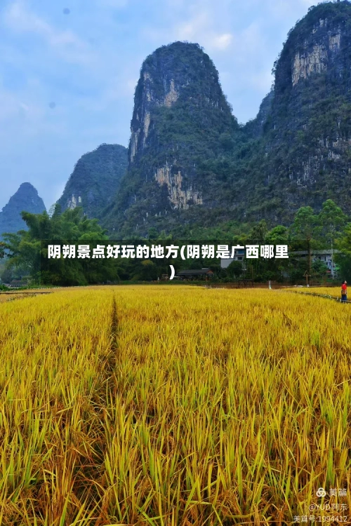 阴朔景点好玩的地方(阴朔是广西哪里)