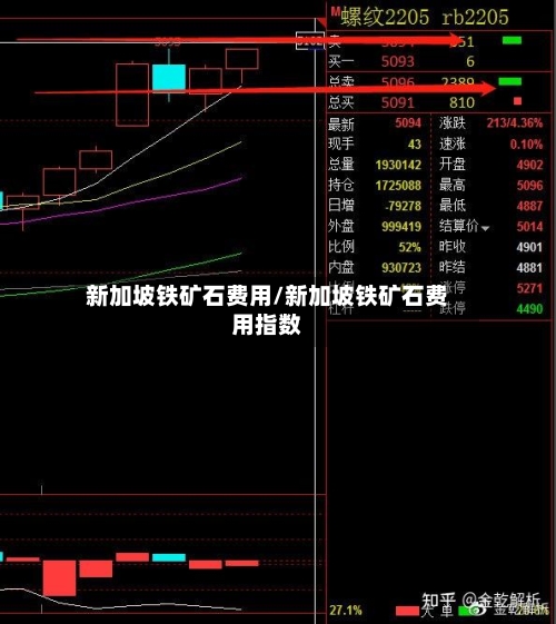 新加坡铁矿石费用/新加坡铁矿石费用指数-第2张图片