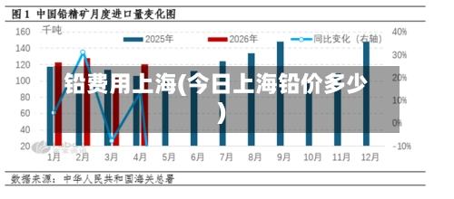 铅费用上海(今日上海铅价多少)-第2张图片
