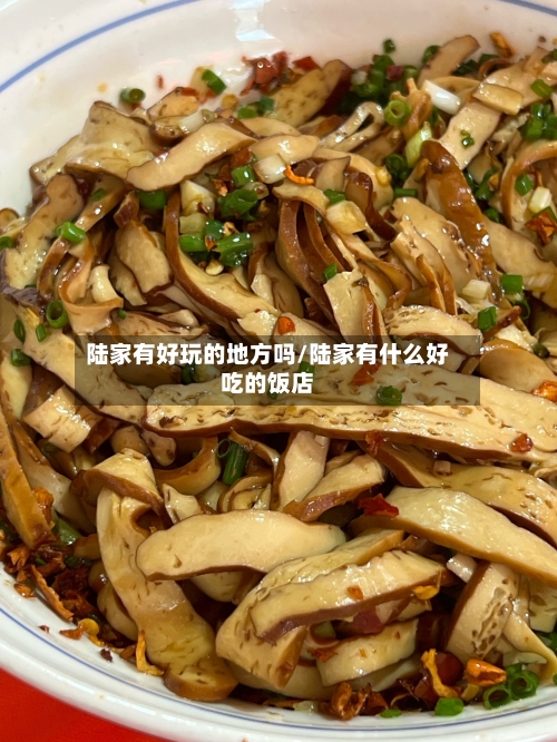 陆家有好玩的地方吗/陆家有什么好吃的饭店-第2张图片